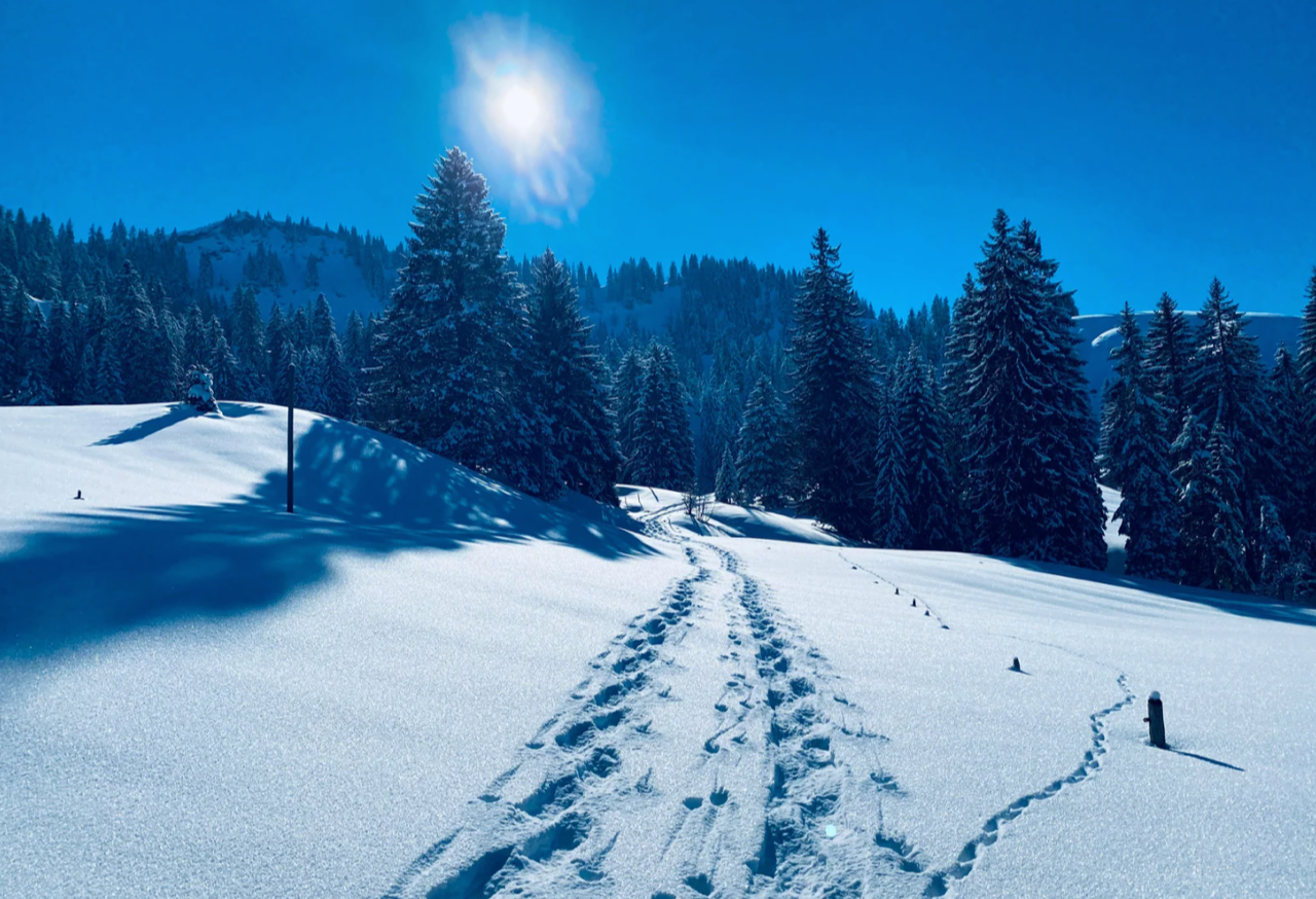 Con le ciaspole su antichi ghiacciai